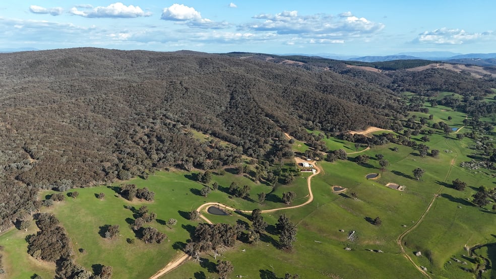 468 Vokins Creek Road Little Billabong NSW 2644 - Image 3