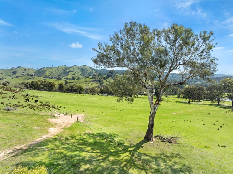 Click to view all images 62 Hells Hole Creek Road Bonnie Doon VIC 3720 - Image 3
