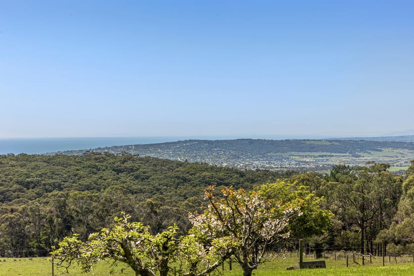 470 Arthurs Seat Road Red Hill VIC 3937 - Image 1