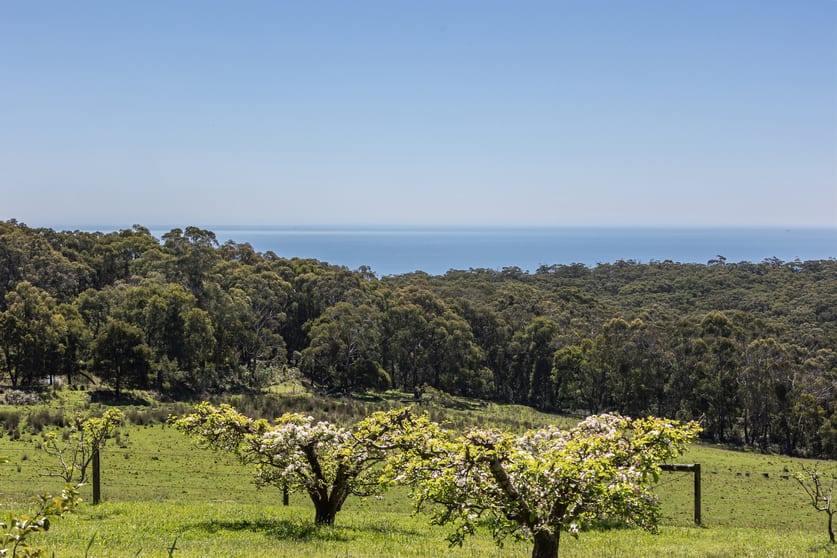 470 Arthurs Seat Road Red Hill VIC 3937 - Image 2
