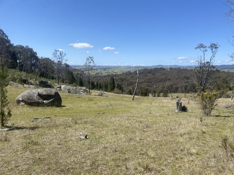 Lot 155 Grabine Road Bigga NSW 2583 - Image 1