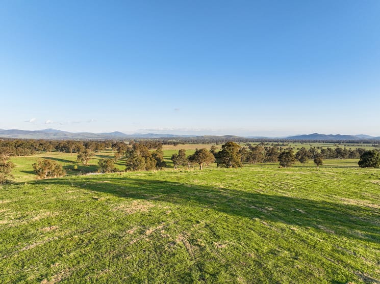 255 Blue Range Road Bridge Creek VIC 3723 - Image 2