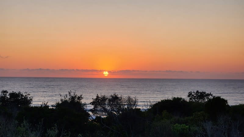 Management Rights  business for sale in Maroochydore - Image 1