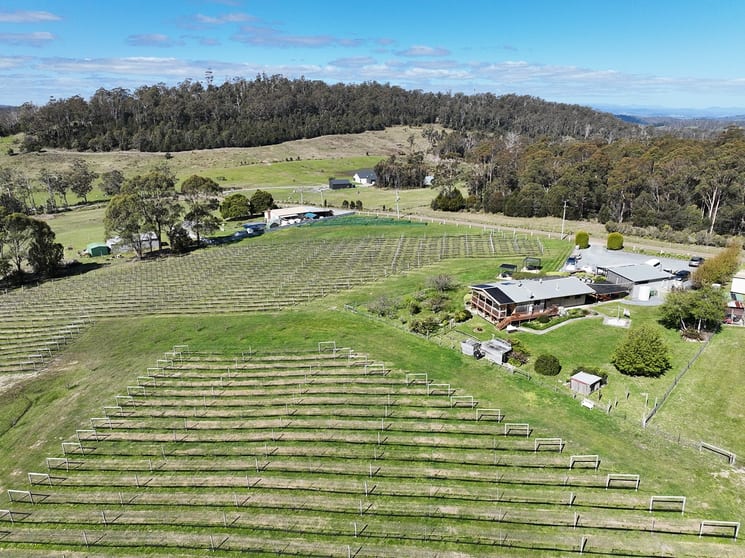 Click to view all images 150 Hjorts Road Loira TAS 7275 - Image 2