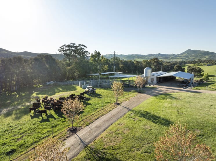 Click to view all images 1591 Mansfield-woods Point Road Piries VIC 3723 - Image 3