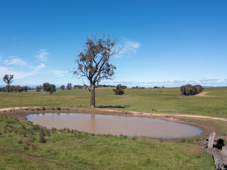 Click to view all images 00 Shannon Road Byawatha VIC 3678 - Image 3