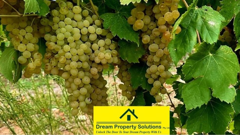 Click to view all images Folio 697 Folio 408 Falkiner Avenue & CooK Road Farm Tresco VIC 3583 - Image 2