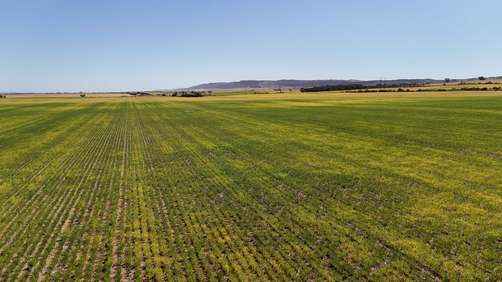 Allotment 78 Augusta Highway Crystal Brook SA 5523 - Image 1