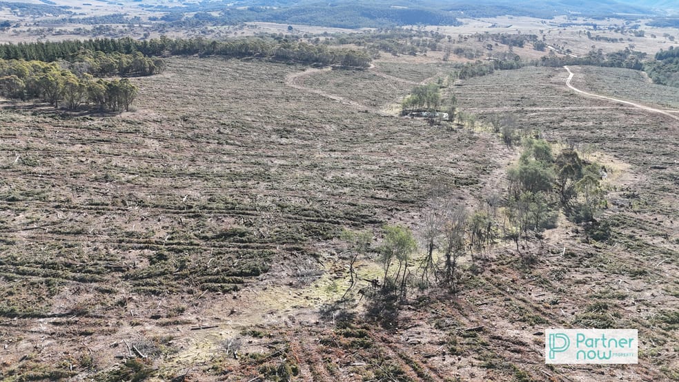 Camerons Hill Delegate Road Delegate NSW 2633 - Image 2