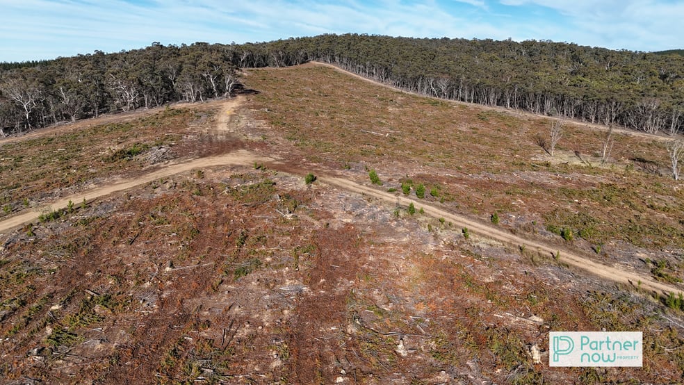 Camerons Hill Delegate Road Delegate NSW 2633 - Image 3