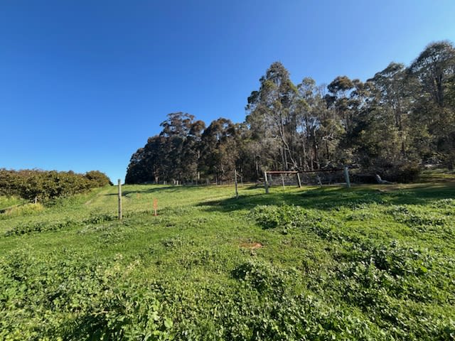 Lot 500 Pipe Clay Gully Road Manjimup WA 6258 - Image 3