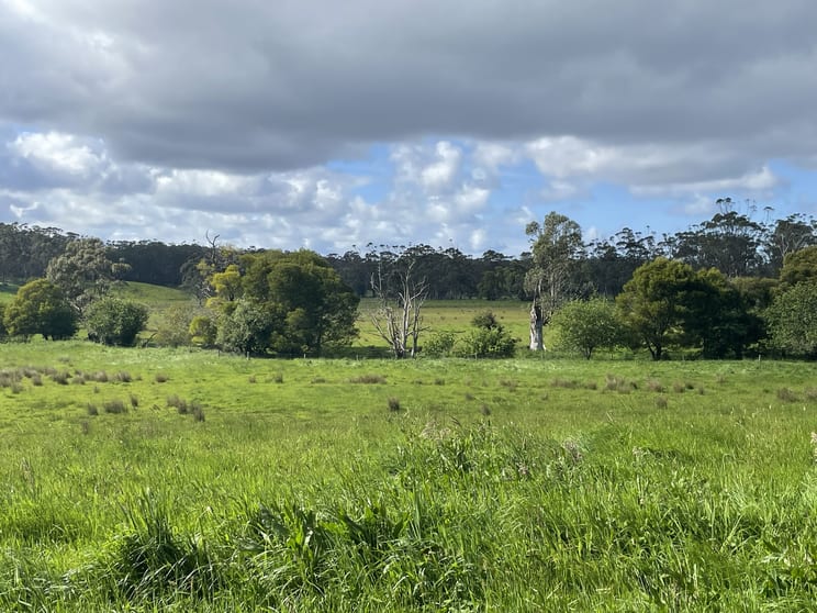 Click to view all images 3554 Lavers Hill - Cobden Road Kennedys Creek VIC 3239 - Image 3
