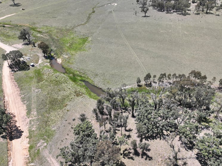 Click to view all images 187 Roos Road Tenterfield NSW 2372 - Image 2