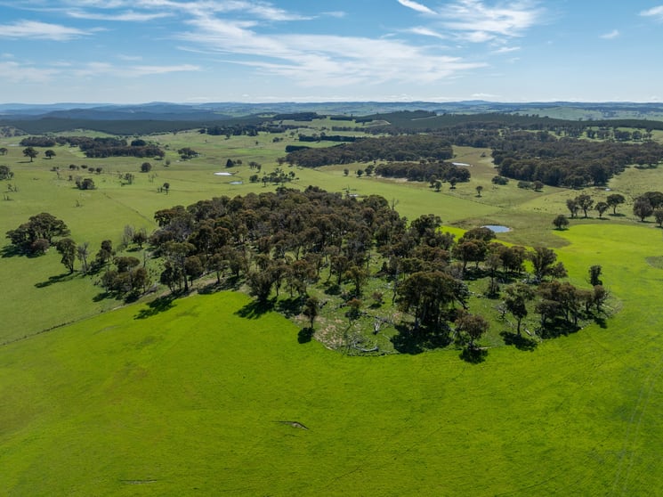 Click to view all images Part of 996 Dog Rocks Road Black Springs NSW 2787 - Image 1