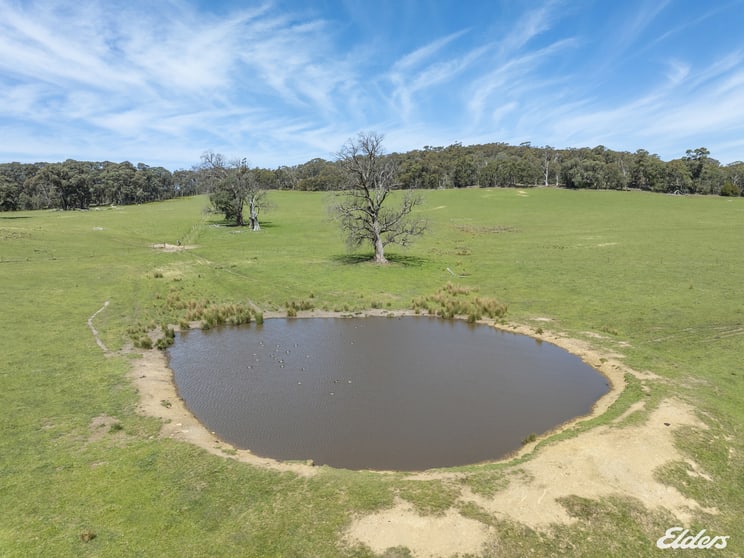 Click to view all images 1187 Bonnie Doon Road Boho South VIC 3669 - Image 3