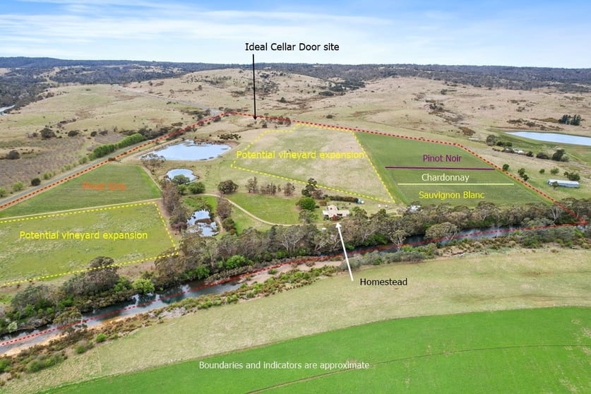 15094 Tasman Highway Cranbrook TAS 7190 - Image 2