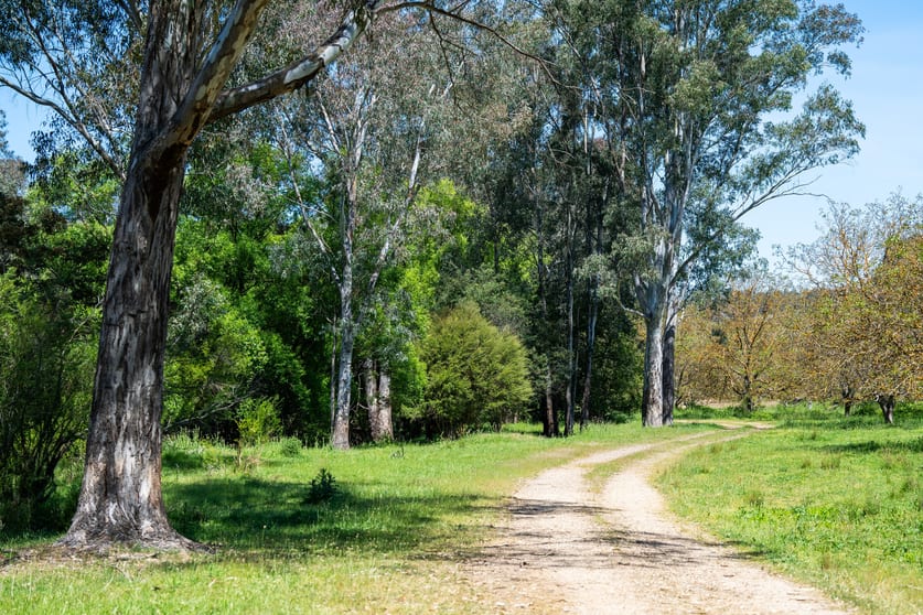 Click to view all images 55 Merri Meadows Lane Merriang South VIC 3737 - Image 3