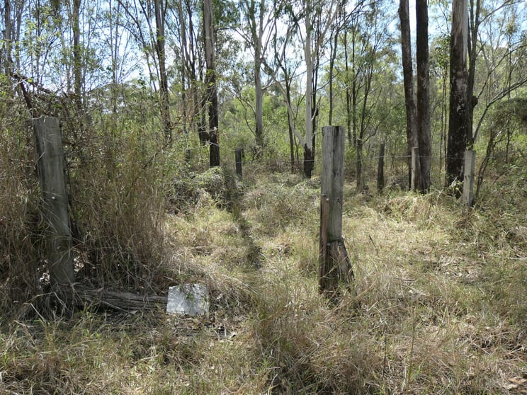 Click to view all images Tarome QLD 4309 - Image 3