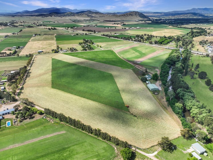 Click to view all images 59 Blairmore Lane Aberdeen NSW 2336 - Image 3