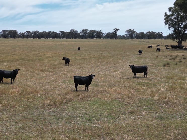 Click to view all images 5047 Murray Valley Highway Norong VIC 3682 - Image 2