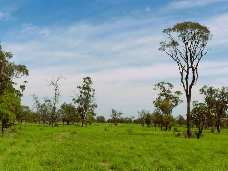 Click to view all images Surat QLD 4417 - Image 2