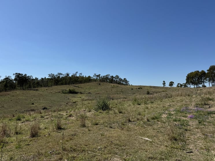 Coppin Road Moonford QLD 4630 - Image 2