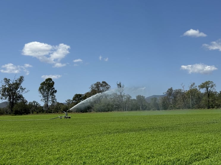 Click to view all images 3794 Gladstone Monto Road Boyne Valley QLD 4680 - Image 1