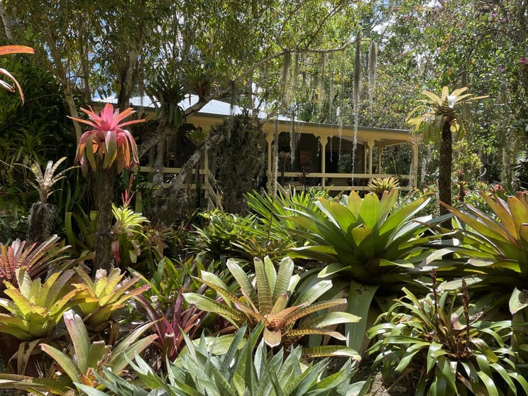 Click to view all images 447 Terania Creek Road The Channon NSW 2480 - Image 1