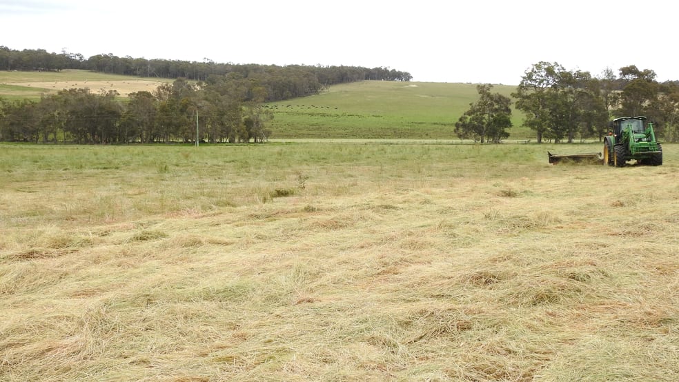 Click to view all images Lot 102 Jindong-Treeton Road Osmington WA 6285 - Image 1