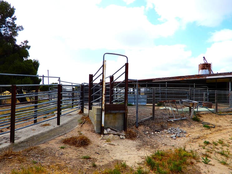 Click to view all images 252 Jabez Williams Road Meningie SA 5264 - Image 2