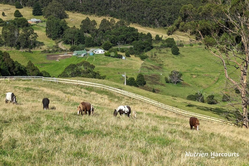 482 Old Whitelaws Track Devon North VIC 3971 - Image 1