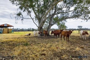 Click to view all images 43 Robinson Road Violet Town VIC 3669 - Image 3