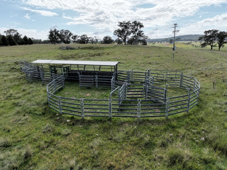 1028 Emmaville Road Yarrowford NSW 2370 - Image 3