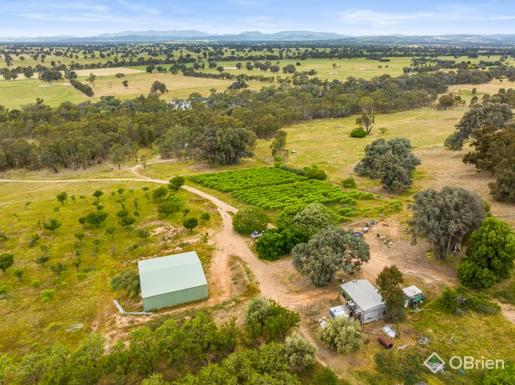 Click to view all images 354 Glenrowan-Moyhu Road Glenrowan VIC 3675 - Image 3