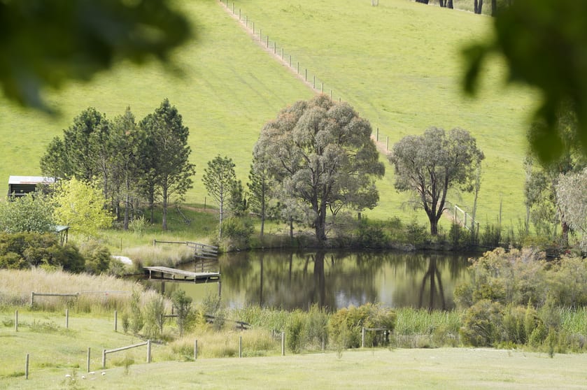 Click to view all images 45 Connors Lane Seville VIC 3139 - Image 2