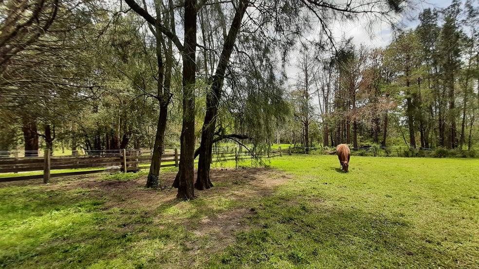 Click to view all images 435A Sussex Inlet Road Sussex Inlet NSW 2540 - Image 2