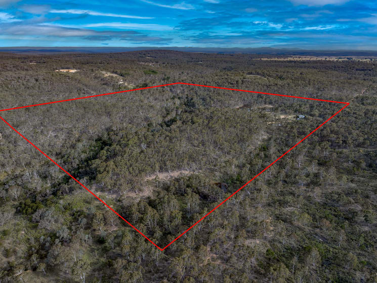 426 Gumnut Crescent Bungonia NSW 2580 - Image 2