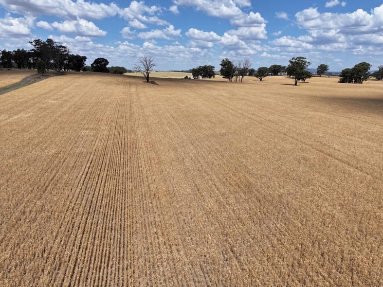 Click to view all images 'Quondi', Dirnaseer Road Combaning NSW 2666 - Image 1