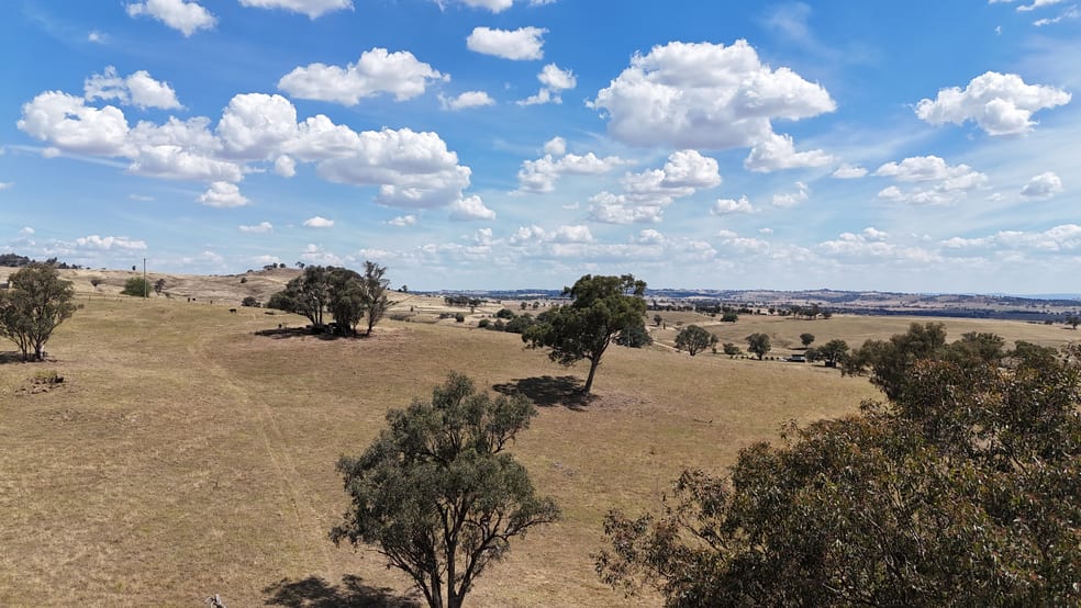 "Karinya" Pride of Oak Road Canowindra NSW 2804 - Image 1