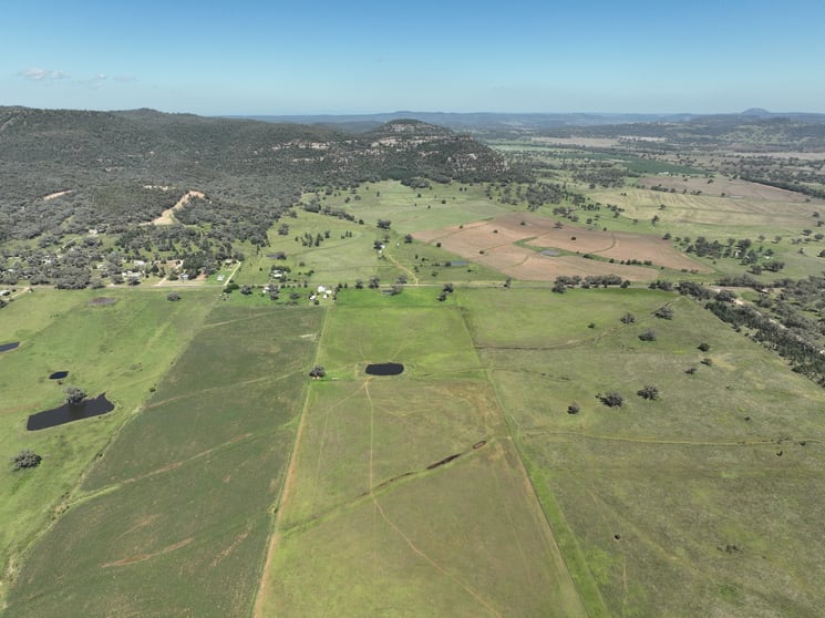 Click to view all images 8722 Black Stump Way Tambar Springs NSW 2381 - Image 3
