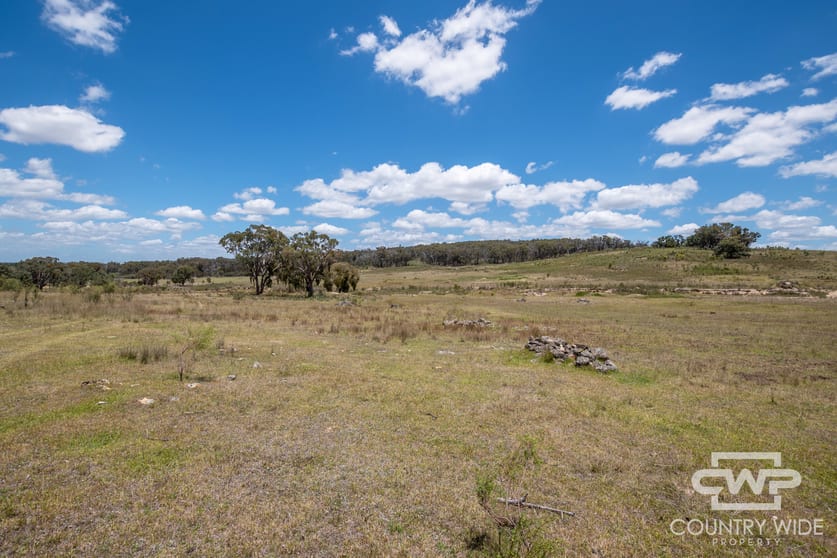 Click to view all images 95, 2202 Wellington Vale Road Emmaville NSW 2371 - Image 2