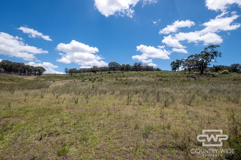 Click to view all images 95, 2202 Wellington Vale Road Emmaville NSW 2371 - Image 3