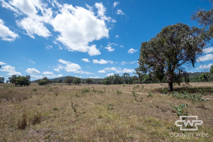 Click to view all images 6, 2202 Wellington Vale Road Emmaville NSW 2371 - Image 3