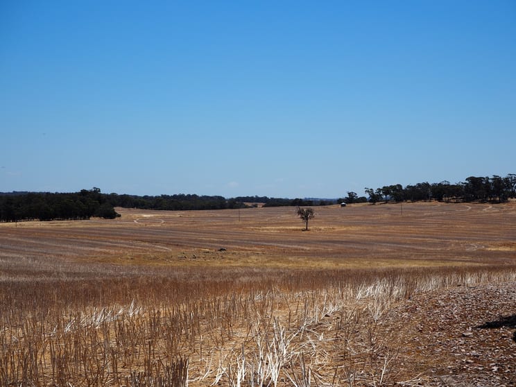 Click to view all images Glenrock Frankland-Cranbrook Road Cranbrook WA 6321 - Image 2