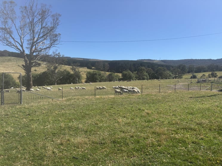 Click to view all images 3 Yetholme Drive Walang NSW 2795 - Image 2