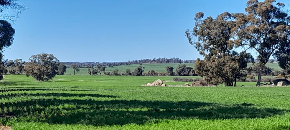 210 Yenellin Road East Pingelly WA 6308 - Image 3