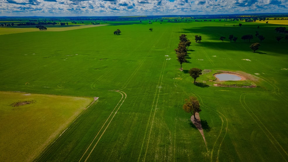 Click to view all images 80 Lucas Lane Coolamon NSW 2701 - Image 2