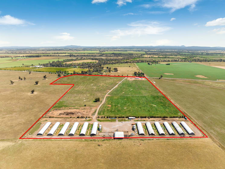 Click to view all images 4194 Bridgewater-Maldon Road Bridgewater VIC 3516 - Image 2