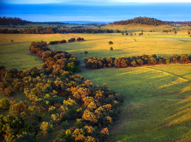 833 Fosters Road Guluguba QLD 4418 - Image 1