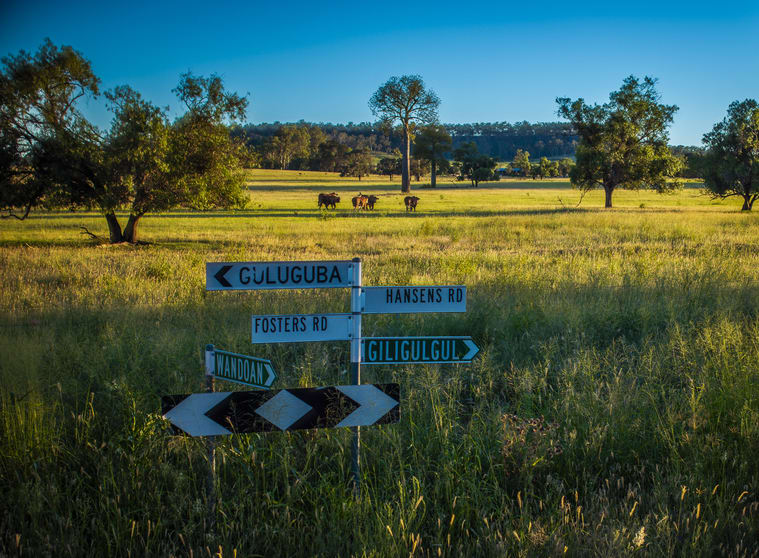 833 Fosters Road Guluguba QLD 4418 - Image 3